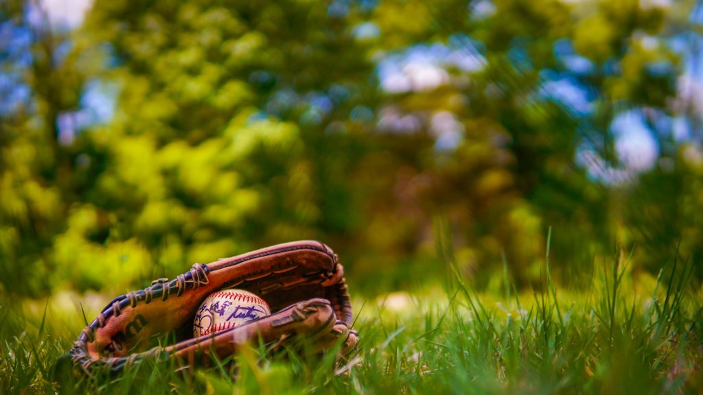 baseball lifestyle 101 discount code