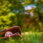 baseball lifestyle 101 discount code