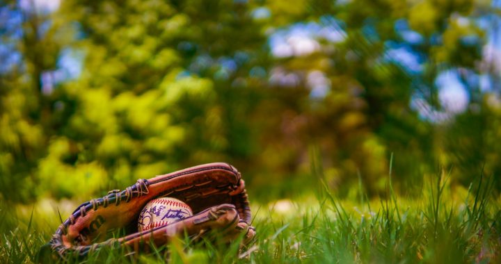 baseball lifestyle 101 discount code