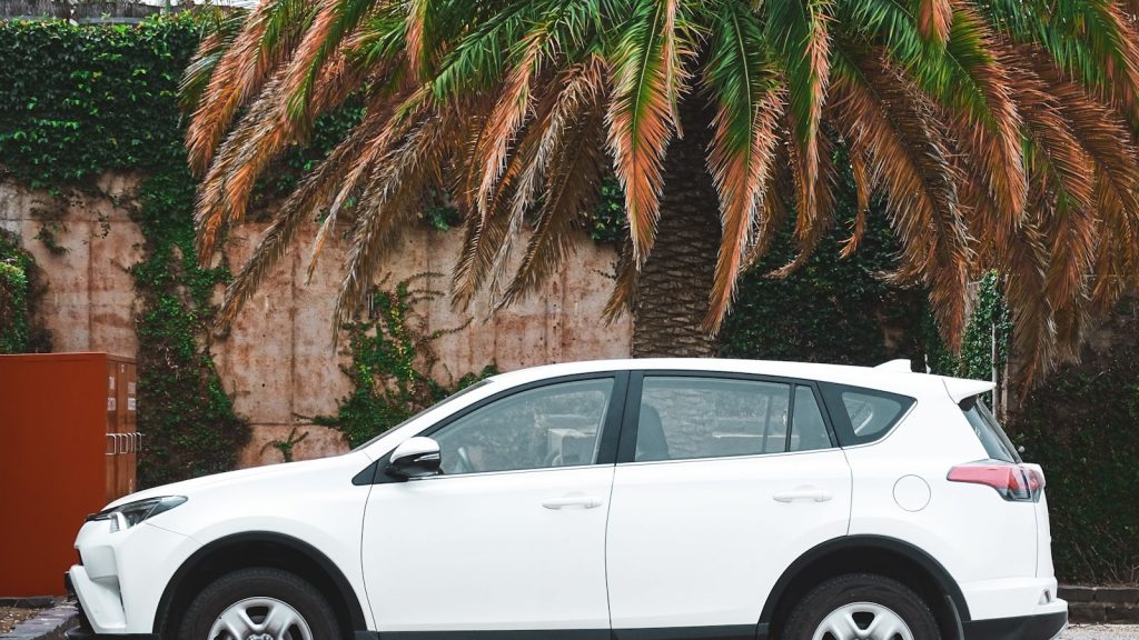 best hybrid cars for fuel economy